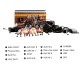 7 inch TouchSceen car radio for 2015-2022 FDRD TRANSIT with bluetooth carplay support backup Camera HD Digital TV