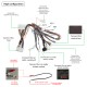 Для BMW MINI COUNTRYMAN R55 R56 R57 R58 R60 R61 2010-2016 Радио 9-дюймовый Android 13.0 HD с сенсорным экраном Bluetooth с системой навигации GPS Поддержка Carplay 1080P