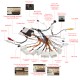 OEM 12,1-дюймовый Android 10.0 Радио для TOYOTA LAND CRUISER 100 2002-2007 LEXUS LX470 2003-2007 Bluetooth HD Сенсорный экран Поддержка GPS-навигации Carplay Задняя камера TPMS
