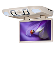 Roof Mount DVD Player